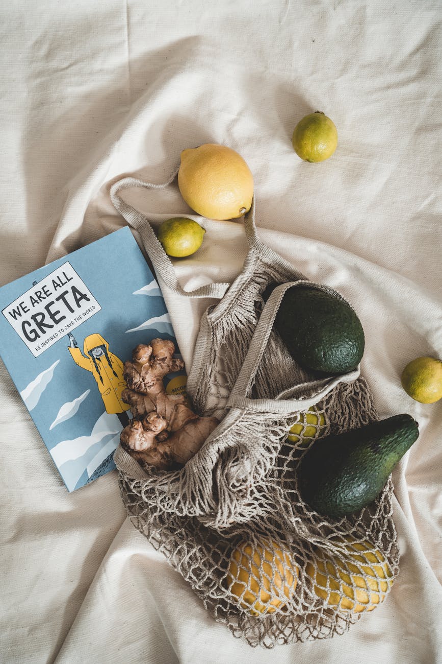 Greta Thunberg: 10 Defining Aspects of an Environmental Activist