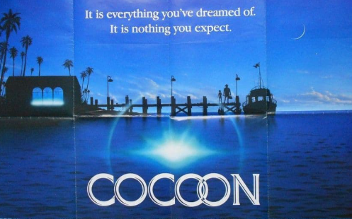 10 Things You Didn't Know About Cocoon - screenshot 2025 07 27 17.58.18