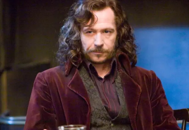 10 Things You Should Know About Sirius Black - Harry Potter Lore - Zentara.blog Sirius Black, Harry Potter, Padfoot, Marauders, Azkaban