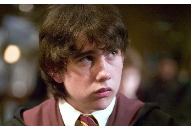 10 Things You Should Know About Neville Longbottom - Harry Potter Lore - Zentara.blog Neville Longbottom, Harry Potter, Gryffindor, Herbology